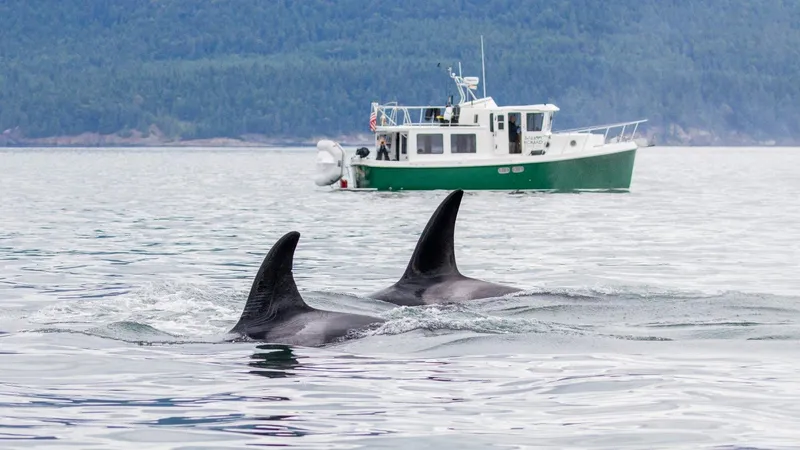 Salish Nomad Yacht Photos Pics 