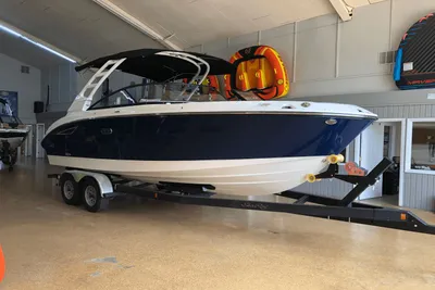 Sea Ray SDX 250