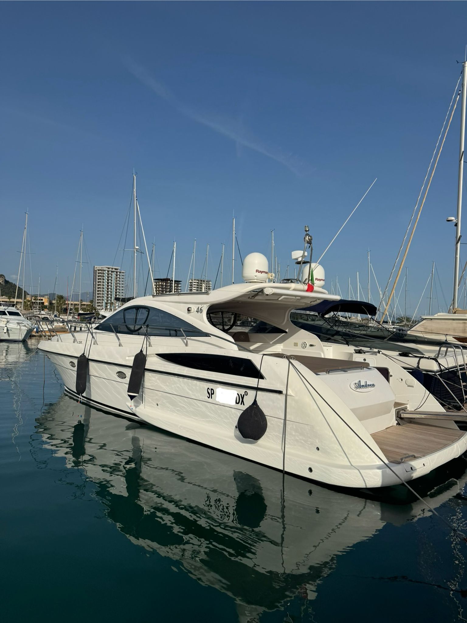 2011 Dellapasqua DC 13 Elite