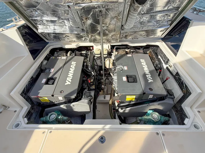 Wild Rose Yacht Photos Pics 