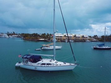 Catalina Morgan 440