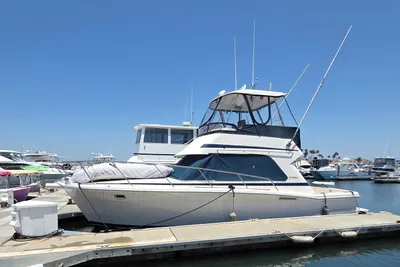 Riviera 33 Flybridge