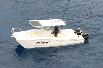 World Cat 270 TE