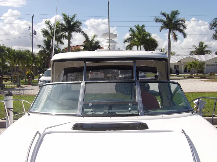Parrotdise Yacht Photos Pics 2005 Sea Ray 390 Sundancer yacht docked with palm trees in the background.