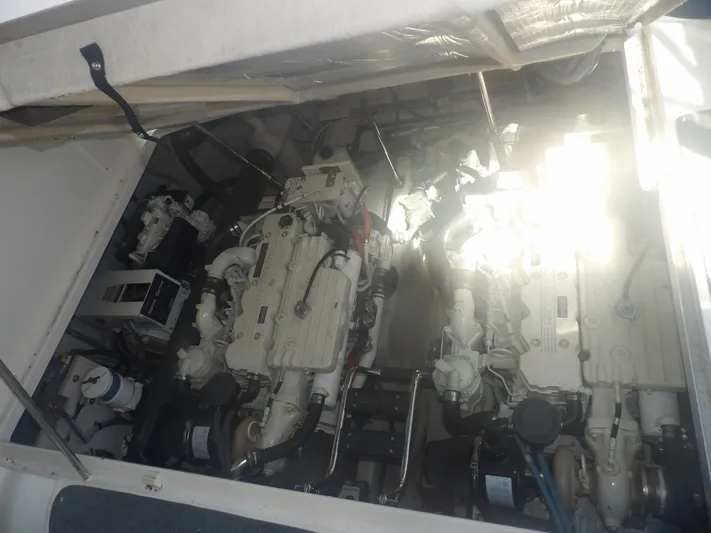 Parrotdise Yacht Photos Pics 