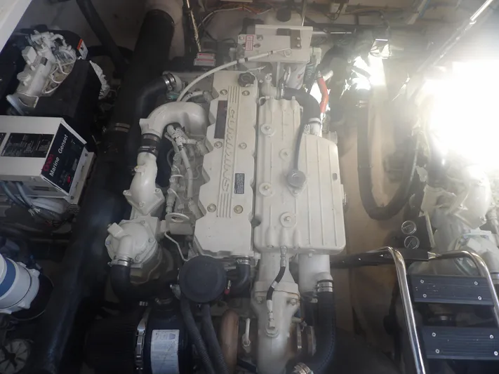 Parrotdise Yacht Photos Pics 