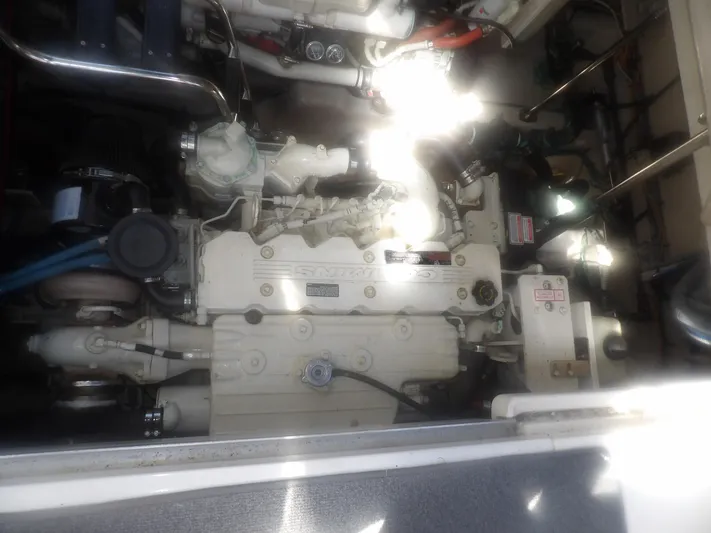 Parrotdise Yacht Photos Pics 