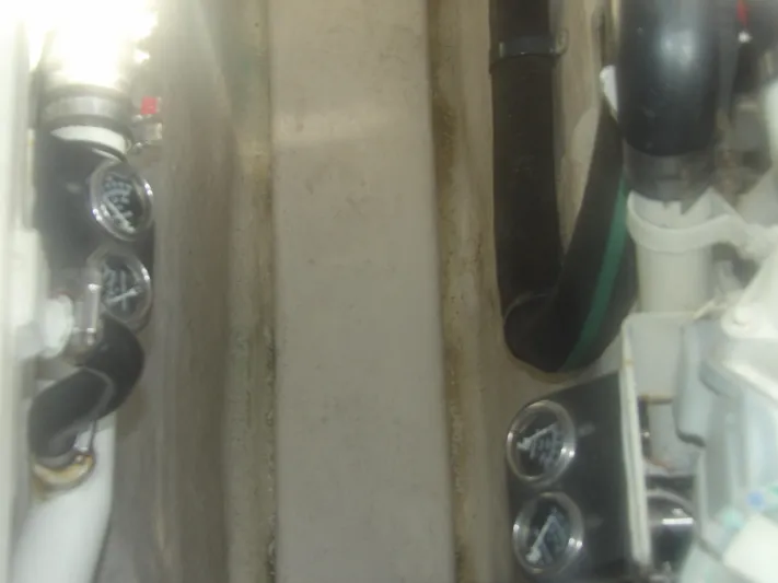 Parrotdise Yacht Photos Pics 