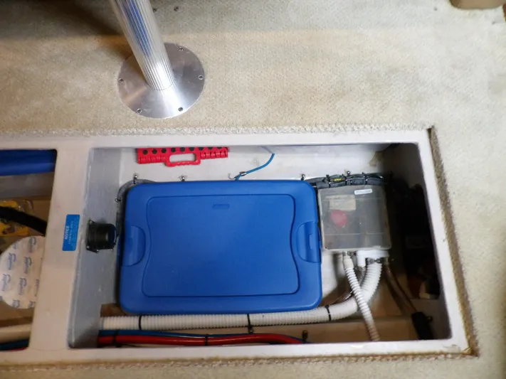 Parrotdise Yacht Photos Pics 