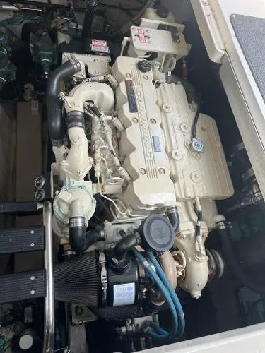 Parrotdise Yacht Photos Pics 