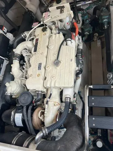 Parrotdise Yacht Photos Pics 