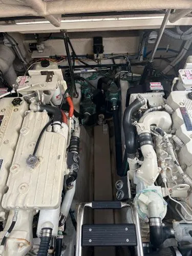 Parrotdise Yacht Photos Pics 