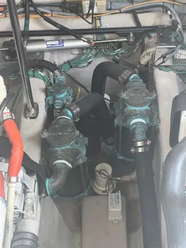 Parrotdise Yacht Photos Pics 