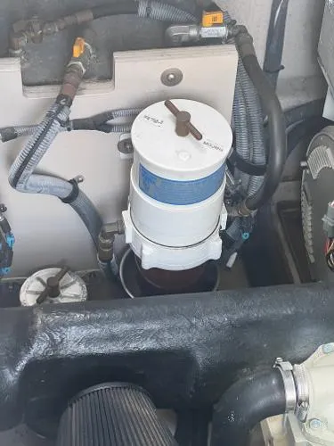 Parrotdise Yacht Photos Pics 