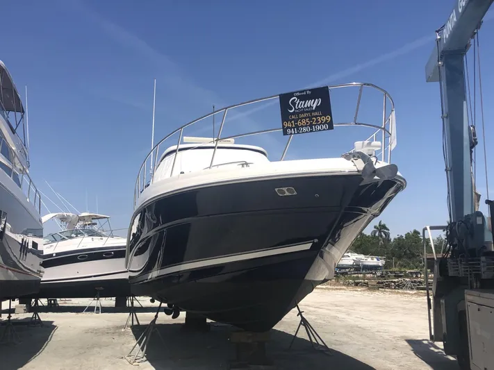 Parrotdise Yacht Photos Pics 