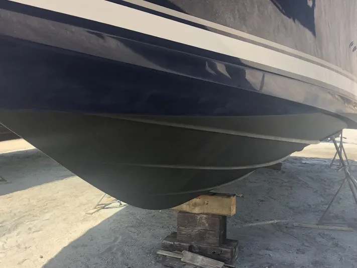 Parrotdise Yacht Photos Pics 