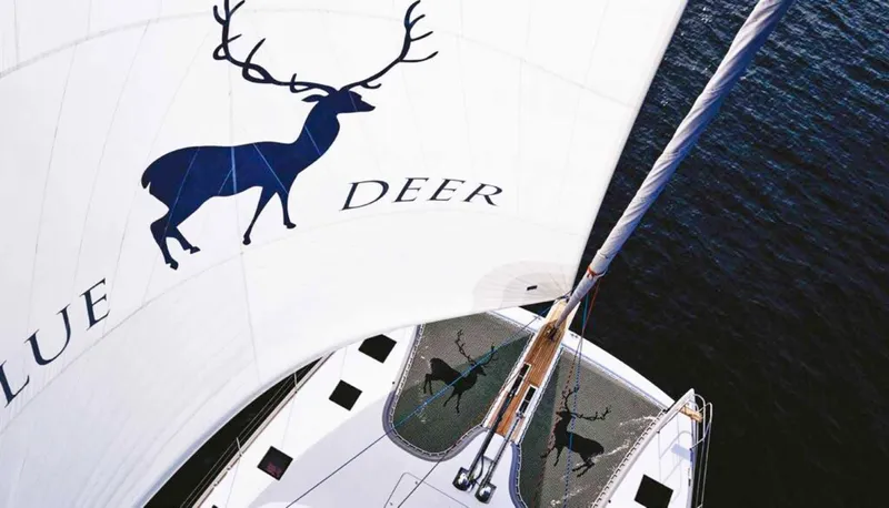 Blue Deer Yacht Photos Pics Sailing yacht Sunreef 74, 2015, with "Blue Deer" logo on sail, aerial view.