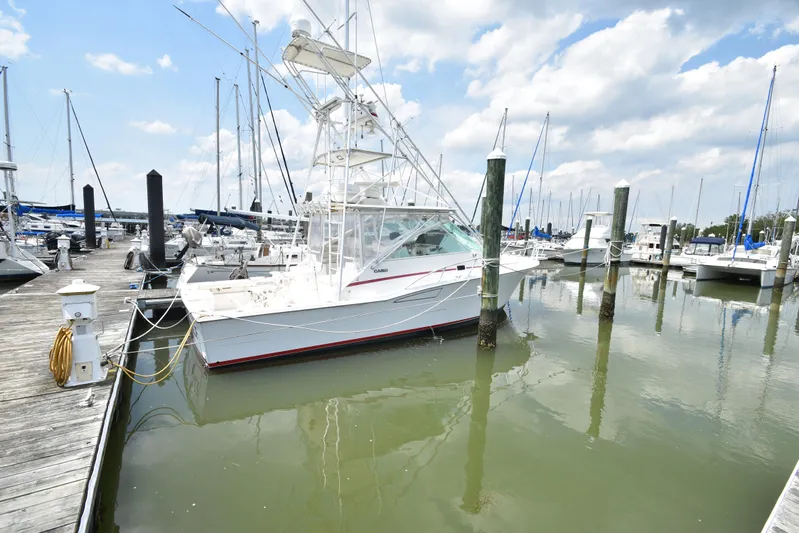 Second Half Yacht Photos Pics 