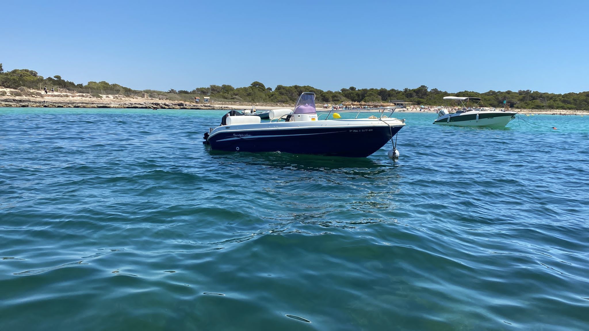 2024 Custom NAVALPLASTICA - FLYINGFISH 490