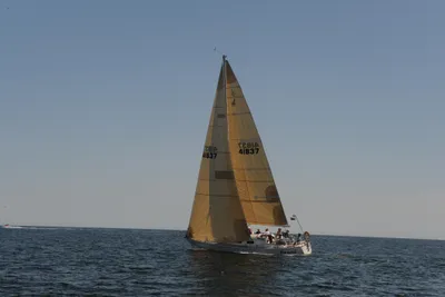 J Boats J37