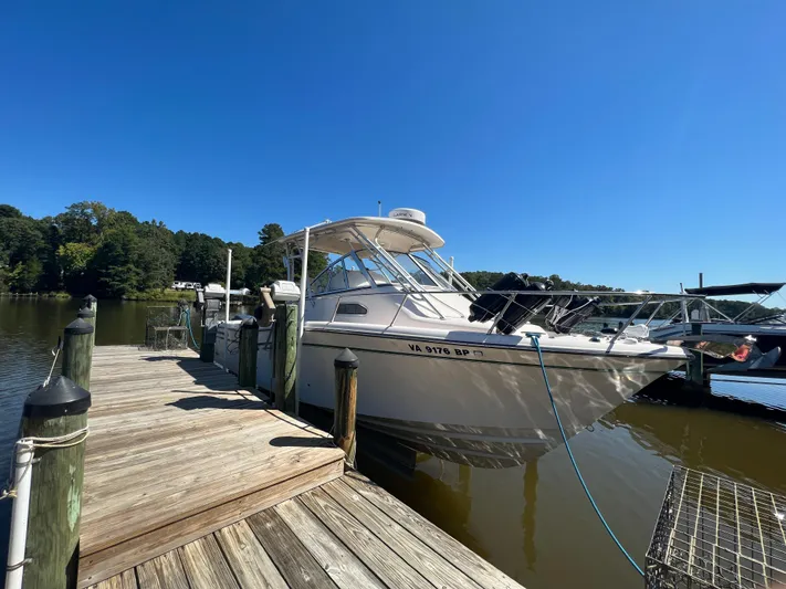 On Wine Time Yacht Photos Pics Grady White 290