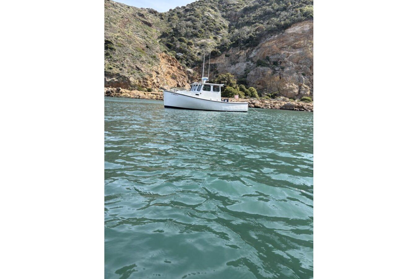 Samson East Coast Lobster