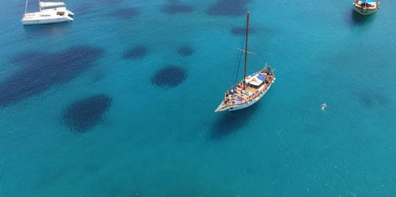  Yacht Photos Pics Traditional motor sailer on clear blue water, 1981 model, surrounded by other boats.