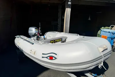 2015 Ribeye TS310