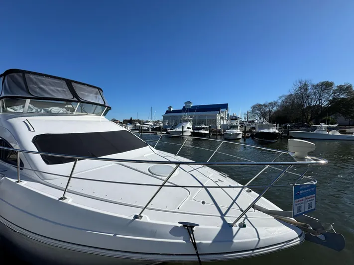 River Dawg Yacht Photos Pics 