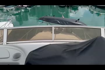 Video Placeholder