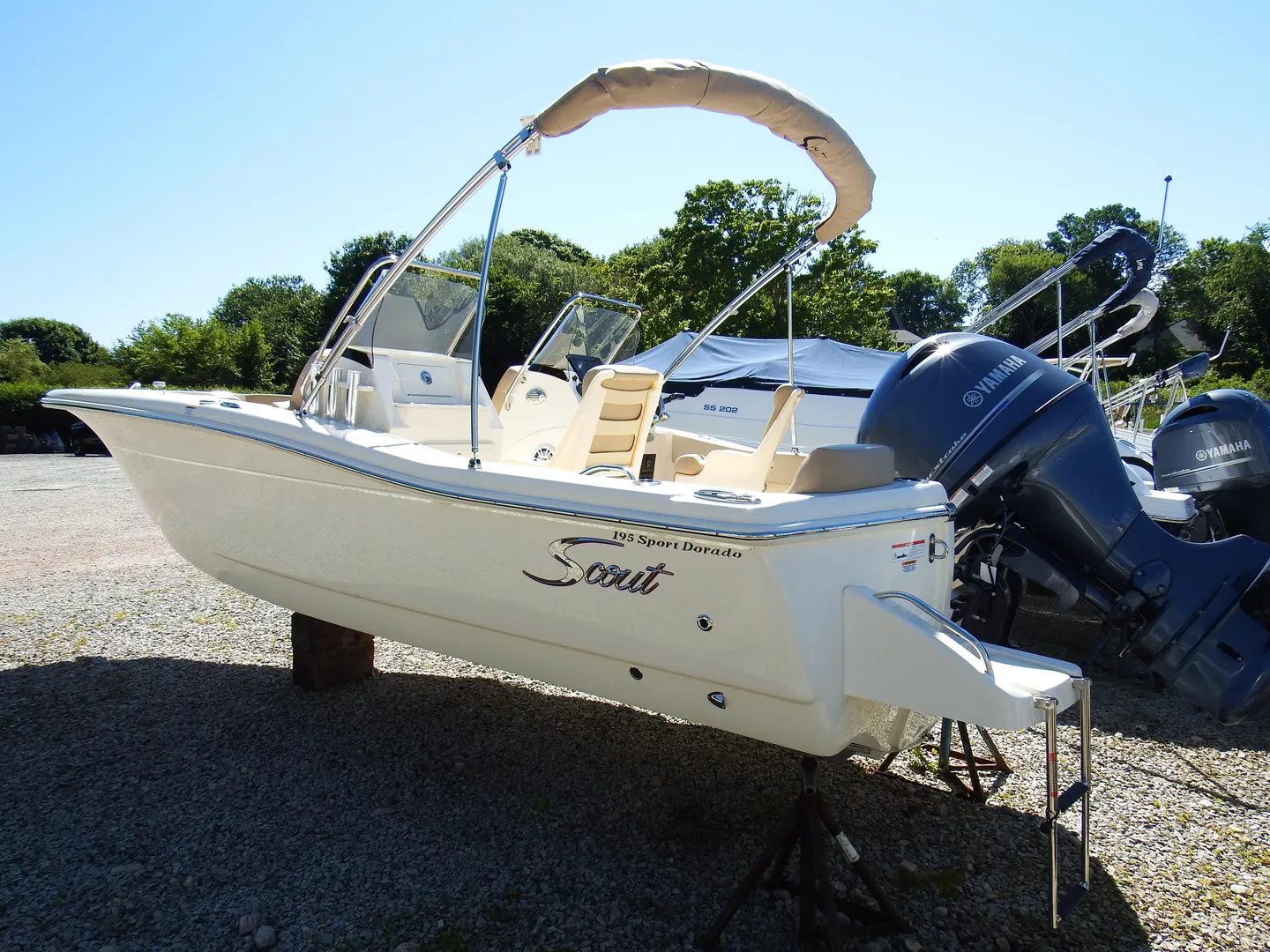 2025 Scout 195 Sport Dorado Photo