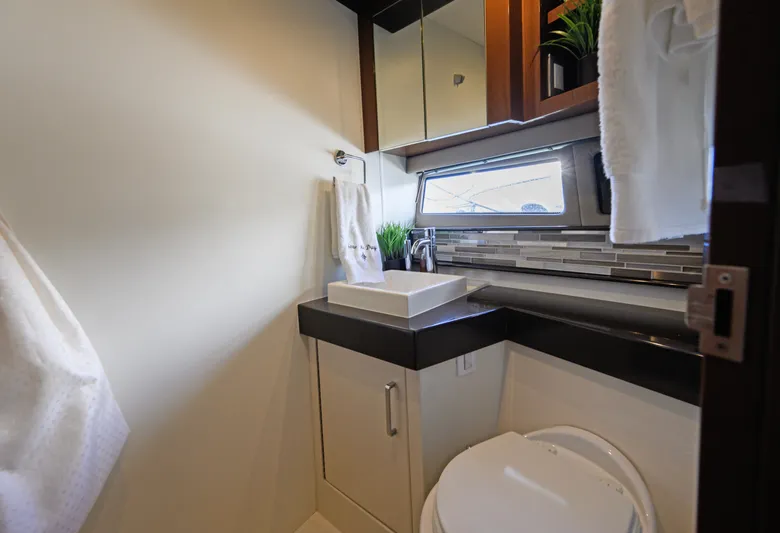 Seas The Day Yacht Photos Pics 2017 Carver - Forward head