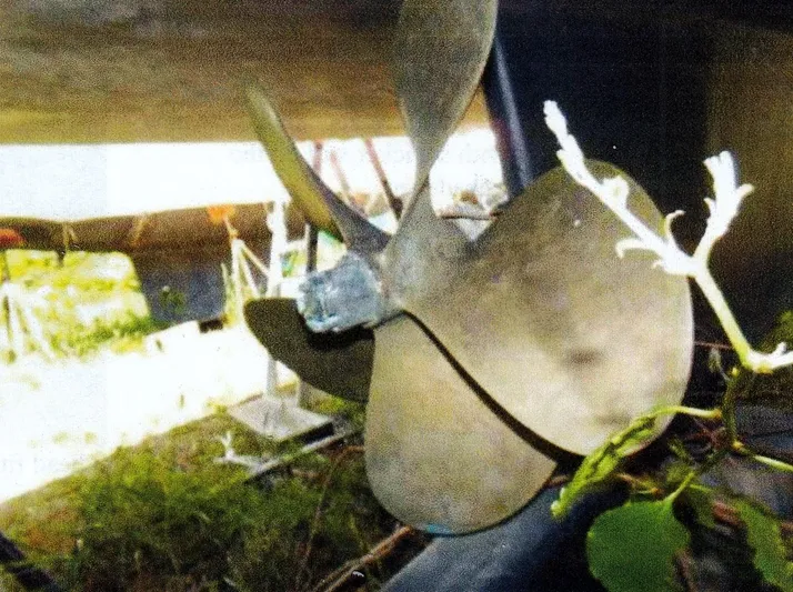 Janet Lynn Yacht Photos Pics Propeller of 1999 Custom 30 Novi Hardtop Cruiser with surrounding foliage.