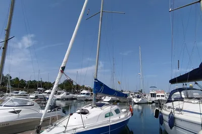 1998 Custom Astraea Azor