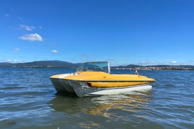 1962 Evinrude OMC 17 deluxe