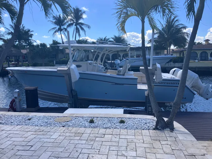  Yacht Photos Pics 2018 Grady-White Canyon 336 boat docked by palm trees, sunny waterfront setting.