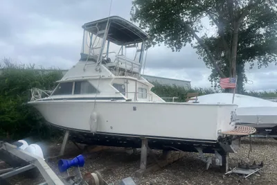 Bertram 28 Flybridge CRUISER