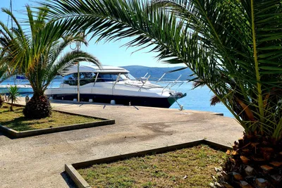 2019 Prestige 460S