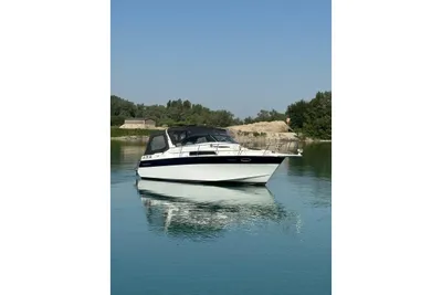 1991 Four Winns 315 Vista