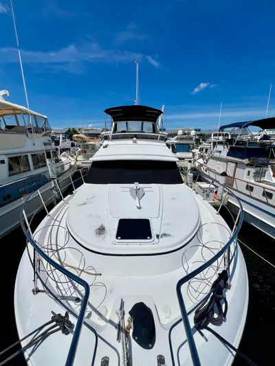 New Dawn Yacht Photos Pics 