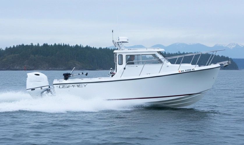 2006 Osprey 26 Fisherman