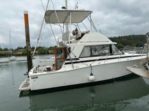 1978 Bertram 33 Flybridge Cruiser