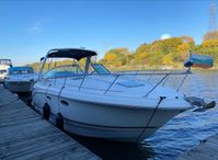 2005 Chaparral Signature 310
