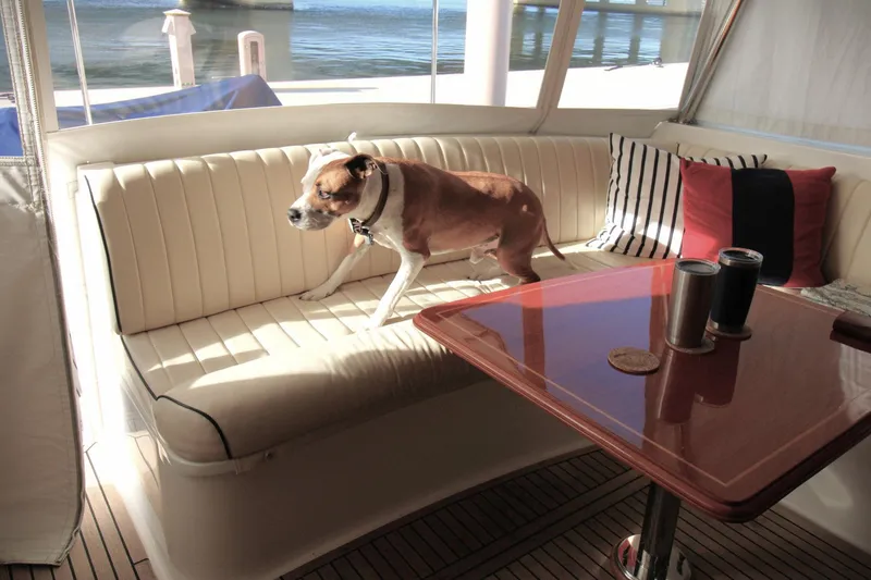 Sweet Yacht Photos Pics Dog on a 2001 Grand Banks 49 Eastbay HX yacht interior with cushioned seating.