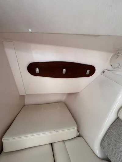  Yacht Photos Pics 2023 Grady-White Freedom 325 interior with cushioned seating and wall hooks.