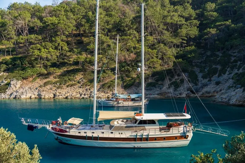  Yacht Photos Pics Luxurious 2022 Gulet 24m yacht anchored in a serene, forested bay.