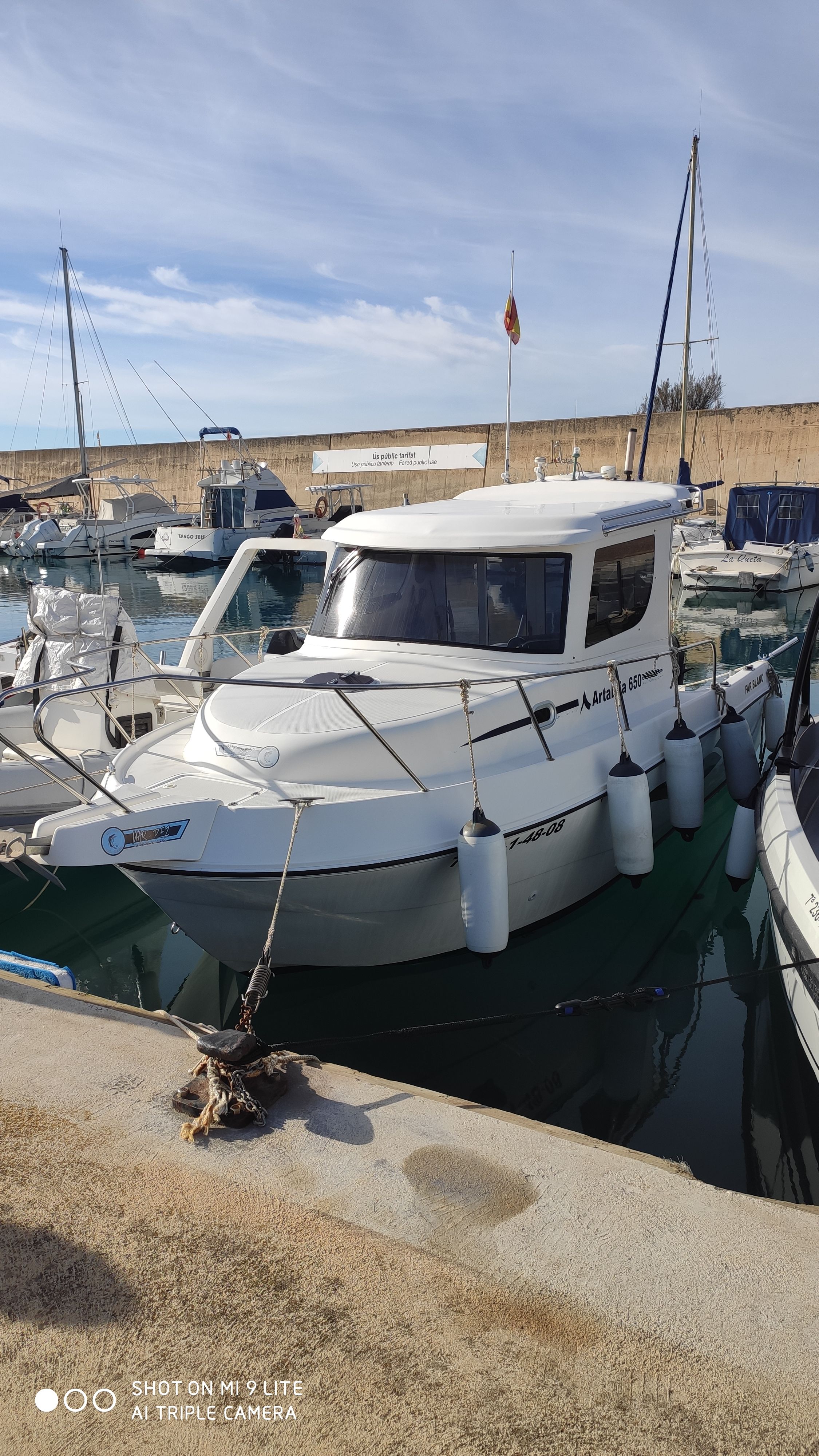 2008 Custom Artabria 650