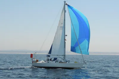 Oyster 406