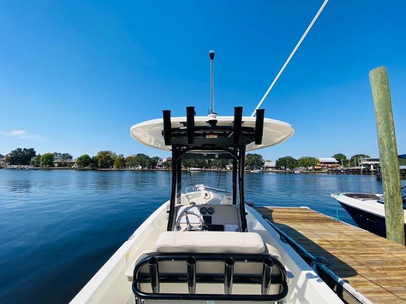 2023 Boston Whaler 250 Dauntless