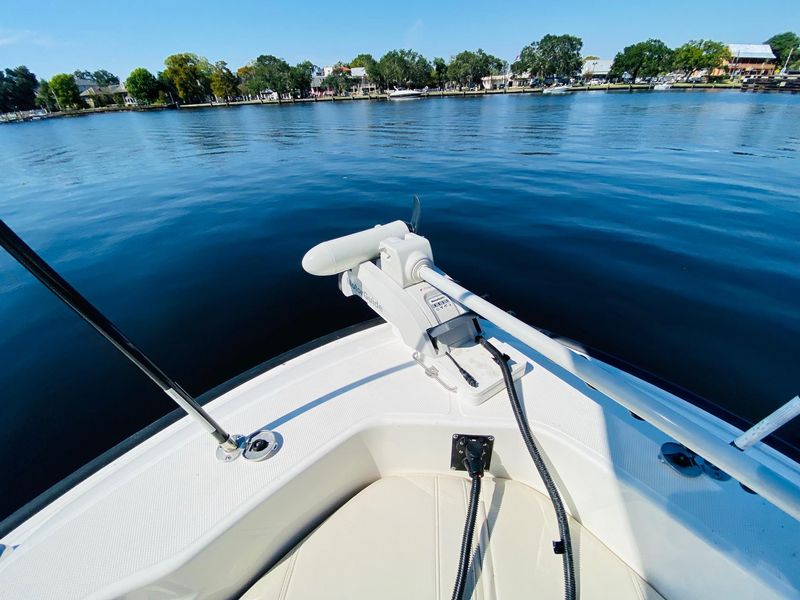 2023 Boston Whaler 250 Dauntless